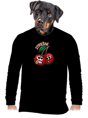 pánské dlouhý rukáv