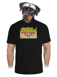 pánské sportovní tričko