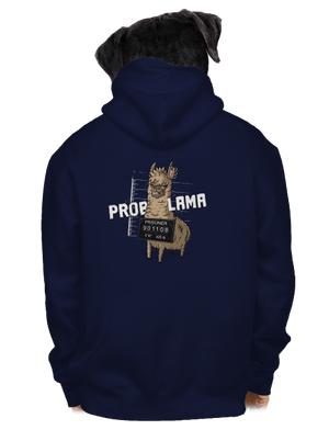 pánská mikina na zip