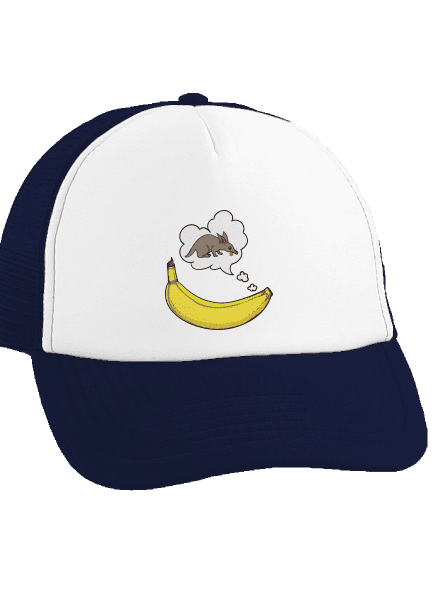 Samice hrabáče kšiltovka truckerka French Navy cap