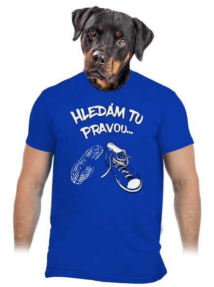Hledám tu pravou pánské tričko Royal Blue