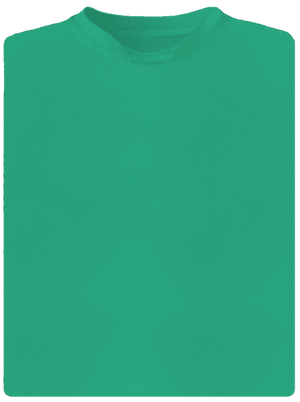 Bez potisku pánské sportovní tričko Mint Mal