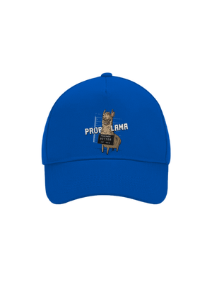 kšiltovka baseballka