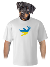 unisex tričko oversized