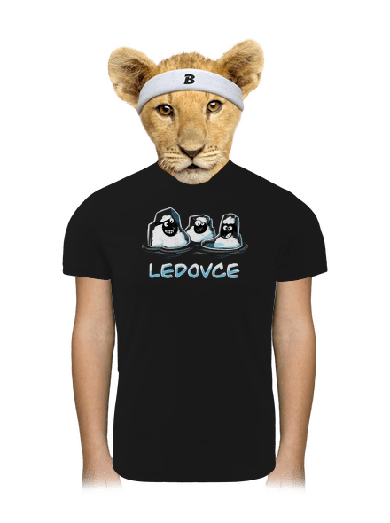 Ledovce dětské sportovní tričko Black