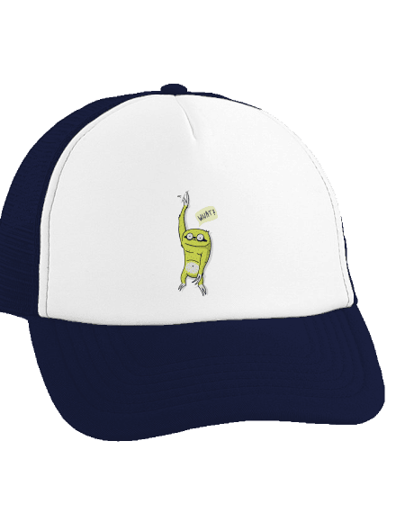 Lenochodík kšiltovka truckerka French Navy cap
