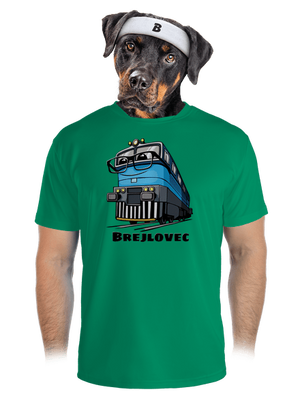 pánské sportovní tričko