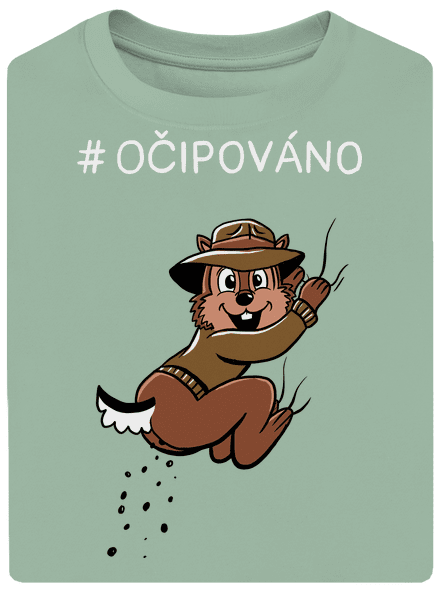Očipováno unisex tričko oversized Sage