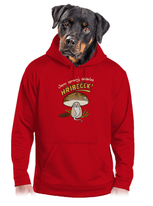 Babka a hříbeček pánská mikina klokanka Red