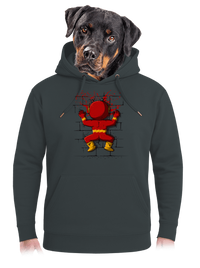 unisex mikina premium