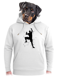 unisex mikina premium