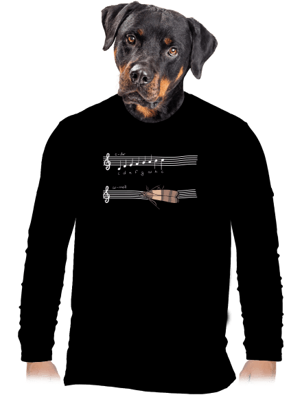 A - moll pánské dlouhý rukáv Black