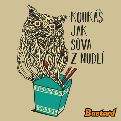 Sůva z nudlí