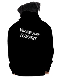 pánská mikina na zip