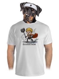pánské sportovní tričko