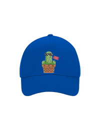 kšiltovka baseballka