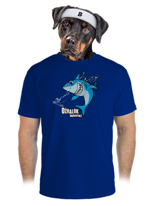 pánské sportovní tričko