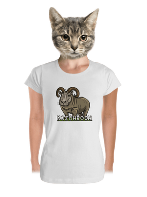 dámské tričko premium