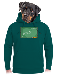 unisex mikina premium