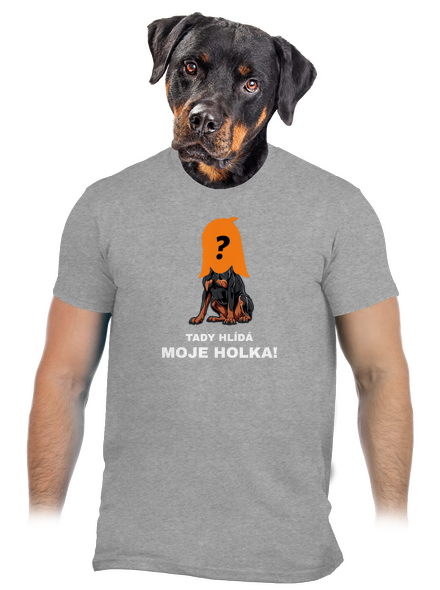 Tady hlídám já pánské tričko Sport Grey