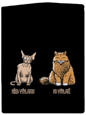 Kočka před výplatou pánská mikina na zip Black