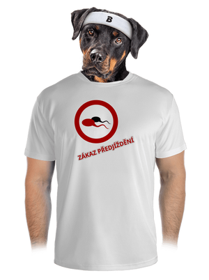 pánské sportovní tričko