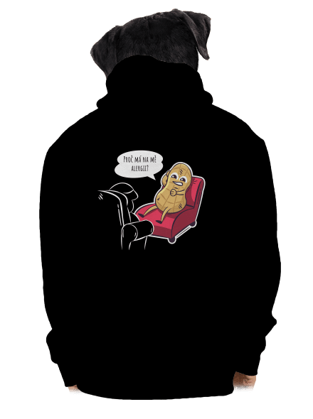 Alergeny u psychologa pánská mikina na zip Black