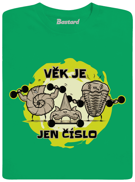 Věk je jen číslo pánské tričko Kelly Green