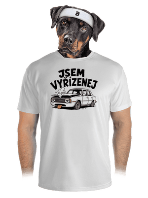 pánské sportovní tričko