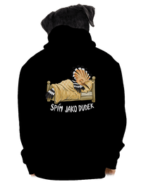 pánská mikina na zip