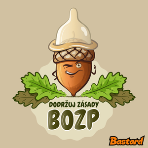 Zásady BOZP