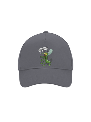 kšiltovka baseballka