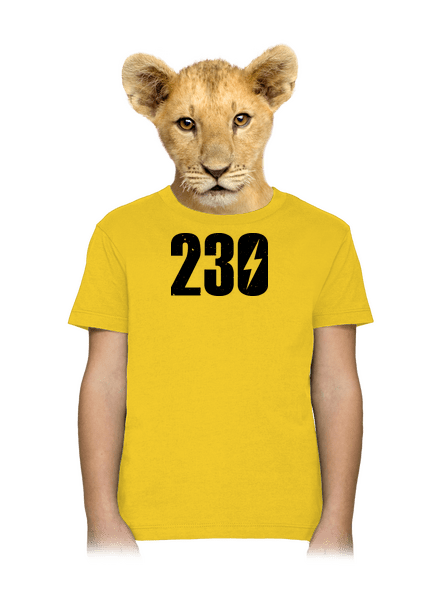 230 V dětské tričko Gold