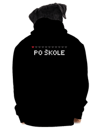 pánská mikina na zip
