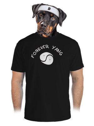 pánské sportovní tričko