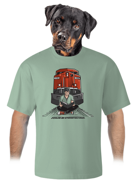 Studentská kolej unisex tričko oversized Sage
