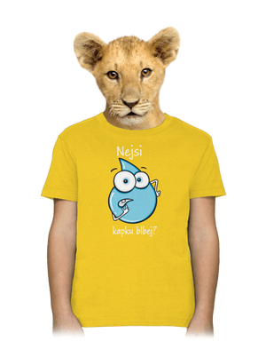 Nejsi kapku blbej dětské tričko Gold