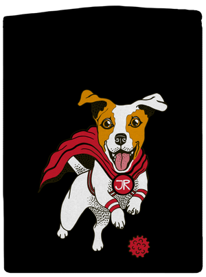 Jack Russell pánská mikina na zip Black