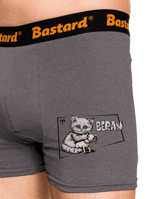 Kočičí horoskop: Beran boxerky Gray Melange