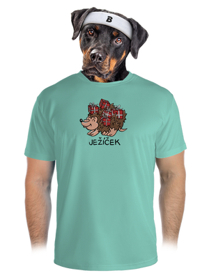 pánské sportovní tričko