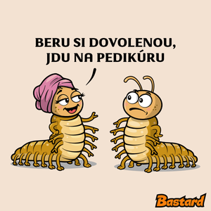 Jdu na pedikúru