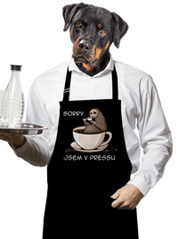 zástěra