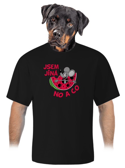 Jsem jiná unisex tričko oversized Black