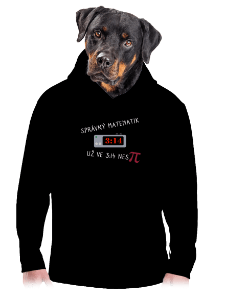 Matematik nespí pánská mikina klokanka Black