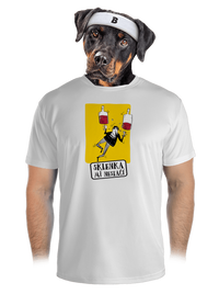 pánské sportovní tričko