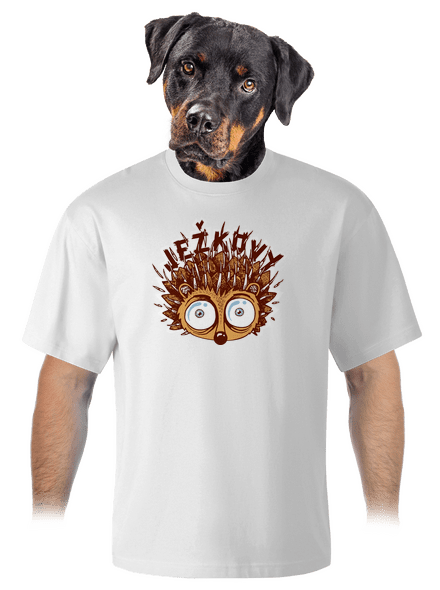 Ježkovy voči unisex tričko oversized White