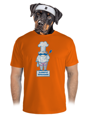 pánské sportovní tričko