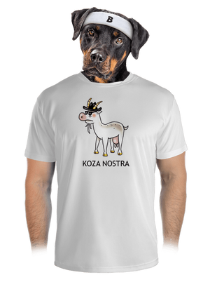 pánské sportovní tričko