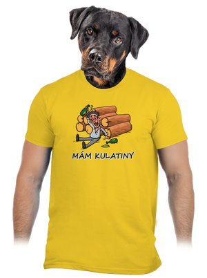 Mám kulatiny pánské tričko Gold