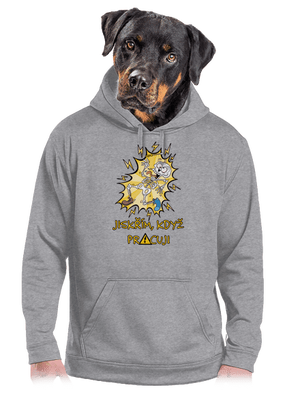 Jiskřím pánská mikina klokanka Light Melange